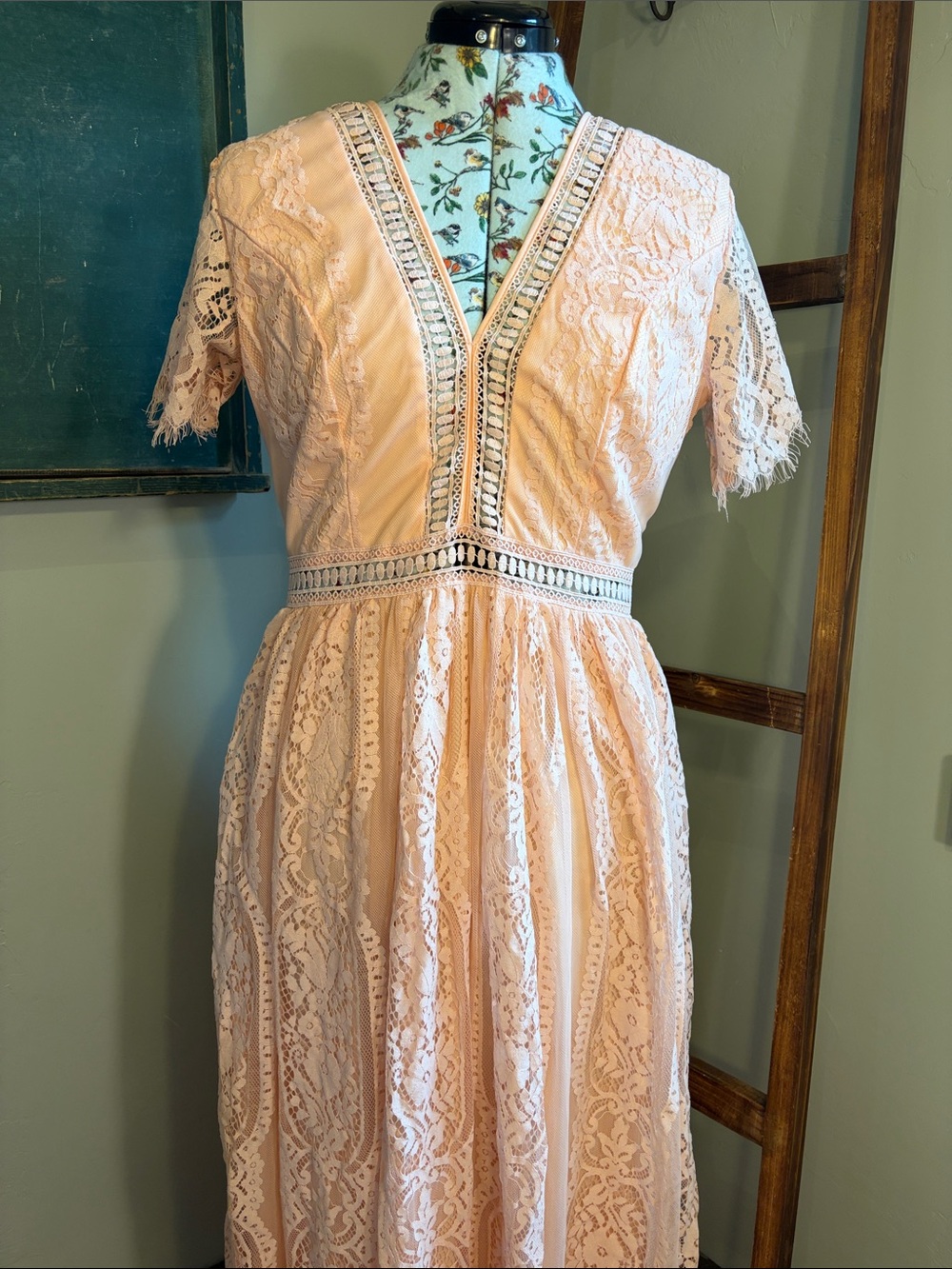 Romantic Lace V-Neck Maxi Dress in Blush